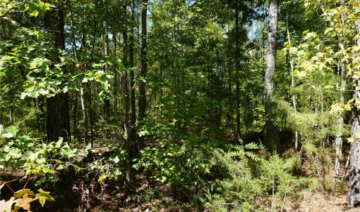 Photo #15 of 6+/- AC Lot 1 Parson, McConnells, SC