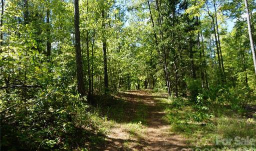 Photo #5 of 6+/- AC Lot 1 Parson, McConnells, SC