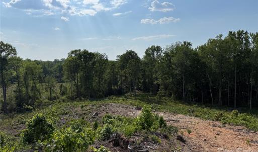 Photo #29 of 01 Old Cheraw, Rockingham, NC