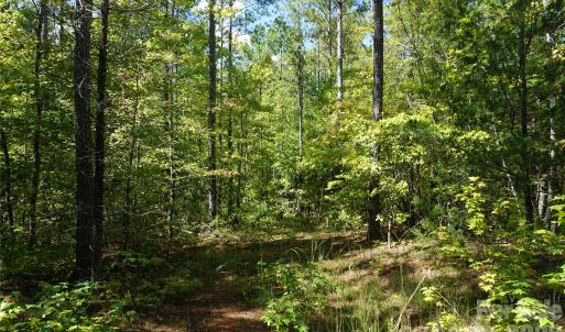 Photo #10 of 15+/- AC Lot 2 Parson, McConnells, SC