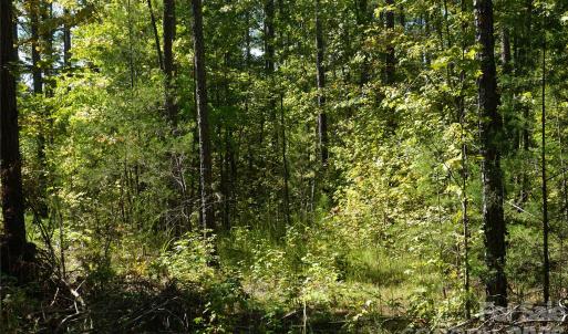 Photo #5 of 15+/- AC Lot 2 Parson, McConnells, SC