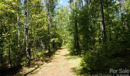 Photo #12 of 15+/- AC Lot 2 Parson, McConnells, SC