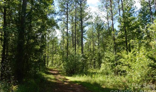 Photo #2 of 15+/- AC Lot 2 Parson, McConnells, SC