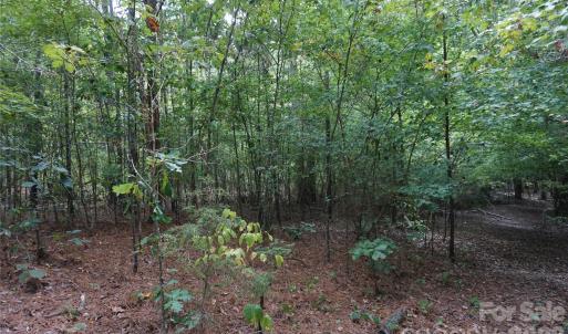 Photo #18 of 15+/- AC Lot 2 Parson, McConnells, SC