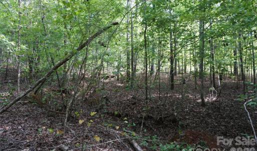 Photo #21 of 15+/- AC Lot 2 Parson, McConnells, SC