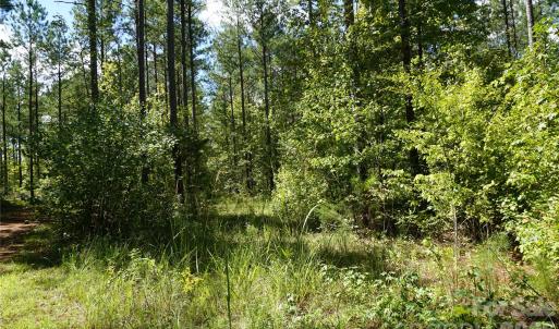 Photo #3 of 15+/- AC Lot 2 Parson, McConnells, SC