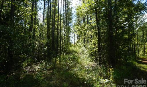 Photo #1 of 15+/- AC Lot 2 Parson, McConnells, SC