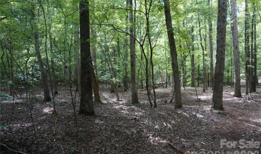 Photo #20 of 15+/- AC Lot 2 Parson, McConnells, SC