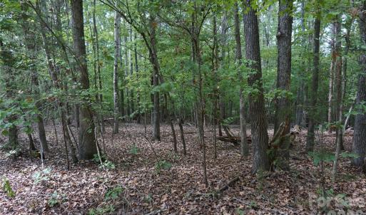 Photo #14 of 15+/- AC Lot 2 Parson, McConnells, SC