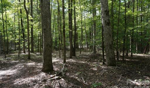 Photo #23 of 15+/- AC Lot 2 Parson, McConnells, SC