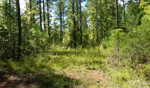 Photo #6 of 15+/- AC Lot 2 Parson, McConnells, SC