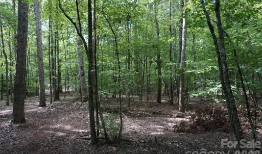 Photo #19 of 15+/- AC Lot 2 Parson, McConnells, SC
