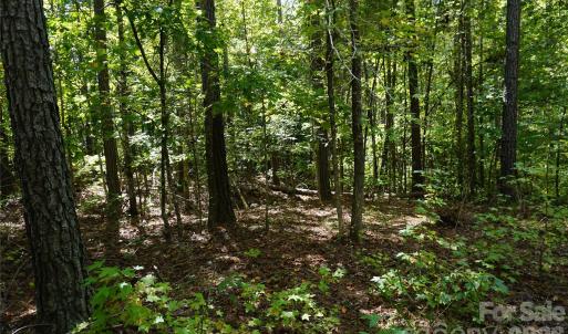 Photo #11 of 15+/- AC Lot 2 Parson, McConnells, SC