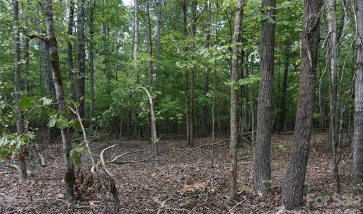 Photo #15 of 15+/- AC Lot 2 Parson, McConnells, SC