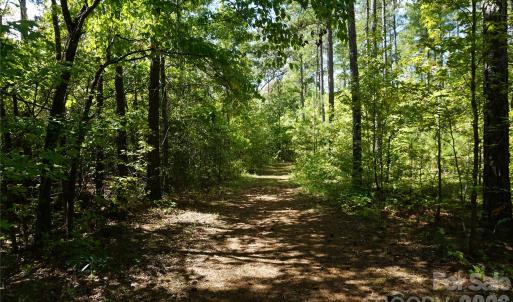 Photo #8 of 15+/- AC Lot 2 Parson, McConnells, SC