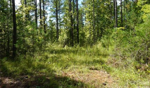 Photo #7 of 15+/- AC Lot 2 Parson, McConnells, SC