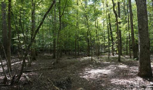Photo #22 of 15+/- AC Lot 2 Parson, McConnells, SC
