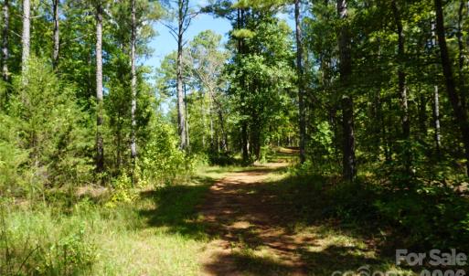 Photo #4 of 15+/- AC Lot 2 Parson, McConnells, SC