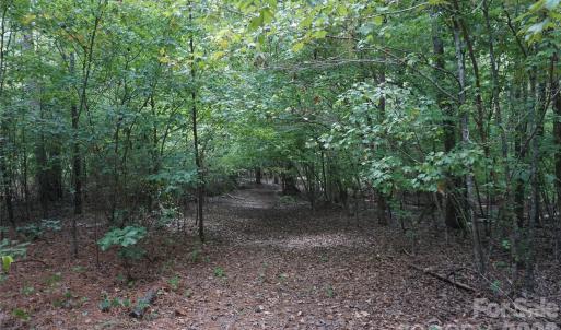 Photo #17 of 15+/- AC Lot 2 Parson, McConnells, SC