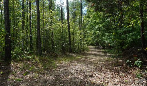 Photo #13 of 15+/- AC Lot 2 Parson, McConnells, SC