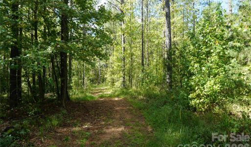 Photo #1 of 12+/- AC Parson, McConnells, SC