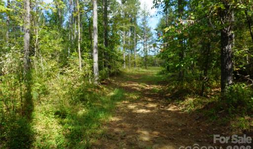Photo #13 of 12+/- AC Parson, McConnells, SC