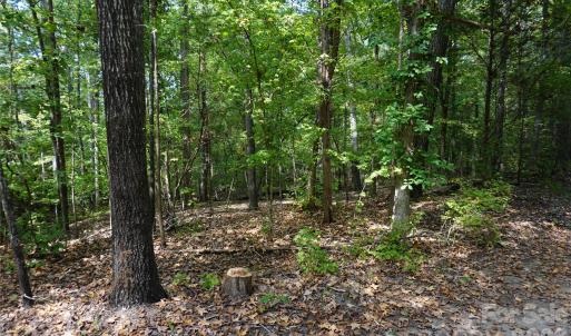 Photo #6 of 12+/- AC Parson, McConnells, SC