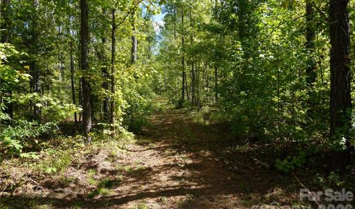 Photo #3 of 12+/- AC Parson, McConnells, SC