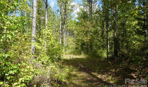 Photo #2 of 12+/- AC Parson, McConnells, SC