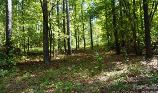 Photo #12 of 12+/- AC Parson, McConnells, SC