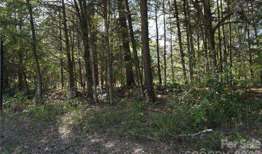 Photo #15 of 12+/- AC Parson, McConnells, SC