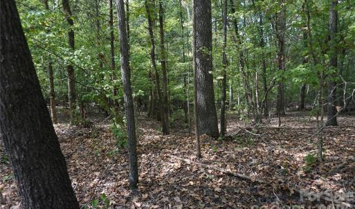 Photo #7 of 12+/- AC Parson, McConnells, SC