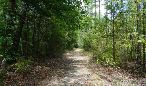 Photo #5 of 12+/- AC Parson, McConnells, SC