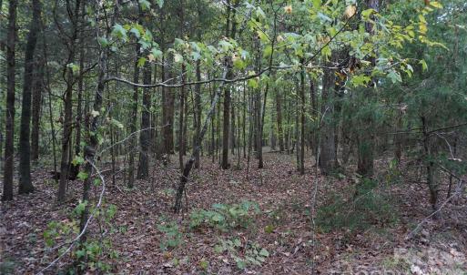 Photo #10 of 12+/- AC Parson, McConnells, SC