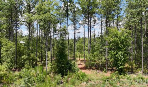 Photo #5 of 18+/- AC Lot 4 Parson, McConnells, SC