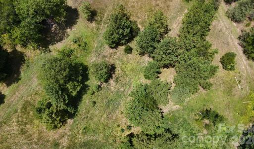 Photo #3 of 18+/- AC Lot 4 Parson, McConnells, SC