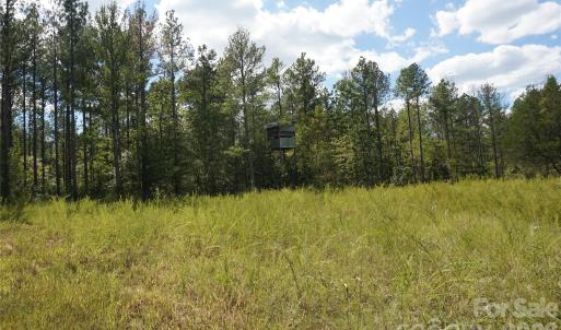 Photo #13 of 18+/- AC Lot 4 Parson, McConnells, SC