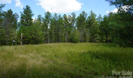 Photo #10 of 18+/- AC Lot 4 Parson, McConnells, SC