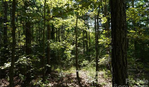 Photo #6 of 18+/- AC Lot 4 Parson, McConnells, SC