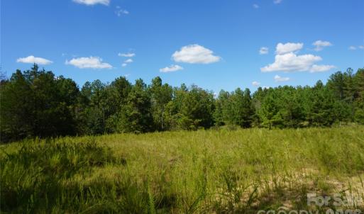 Photo #15 of 18+/- AC Lot 4 Parson, McConnells, SC