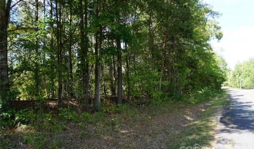 Photo #17 of 18+/- AC Lot 4 Parson, McConnells, SC