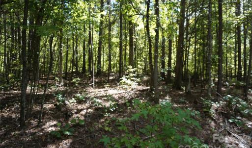 Photo #4 of 18+/- AC Lot 4 Parson, McConnells, SC