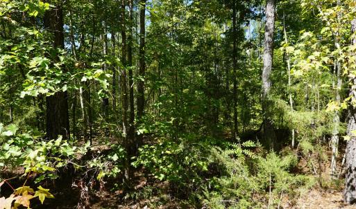 Photo #7 of 18+/- AC Lot 4 Parson, McConnells, SC
