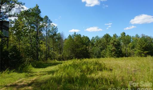 Photo #16 of 18+/- AC Lot 4 Parson, McConnells, SC