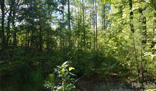 Photo #8 of 18+/- AC Lot 4 Parson, McConnells, SC