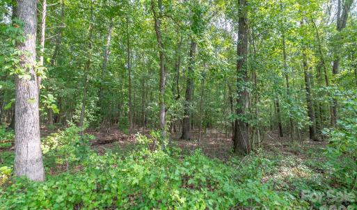 Photo #19 of Bigham, Waxhaw, NC