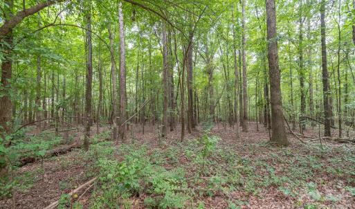 Photo #18 of Bigham, Waxhaw, NC
