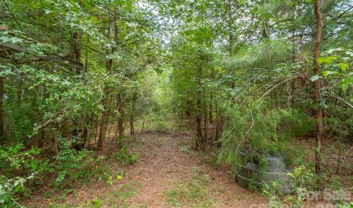 Photo #13 of Bigham, Waxhaw, NC