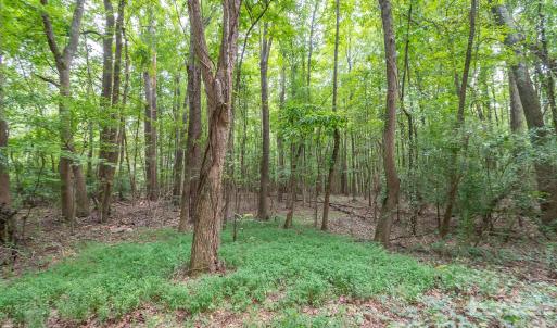 Photo #17 of Bigham, Waxhaw, NC