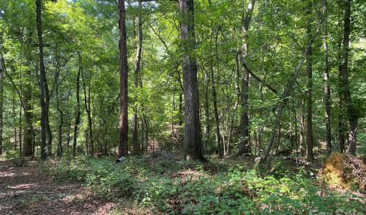 Photo #11 of 3317 Rilla Hamilton, Monroe, NC